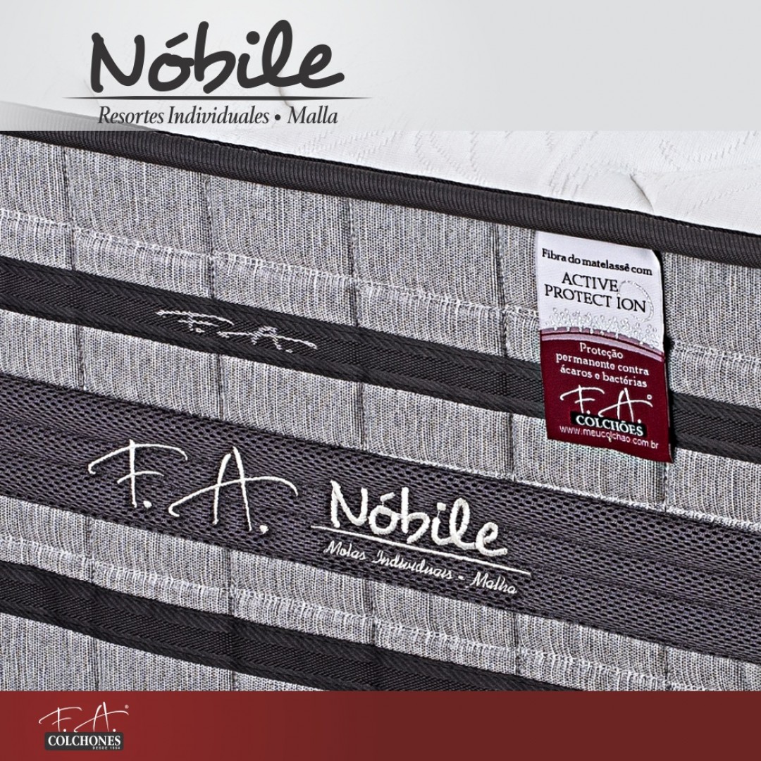 cochon-nobile-